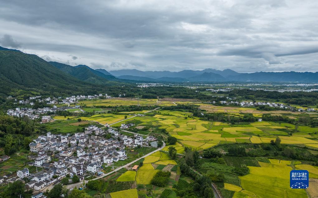 白金有没有免费胜场